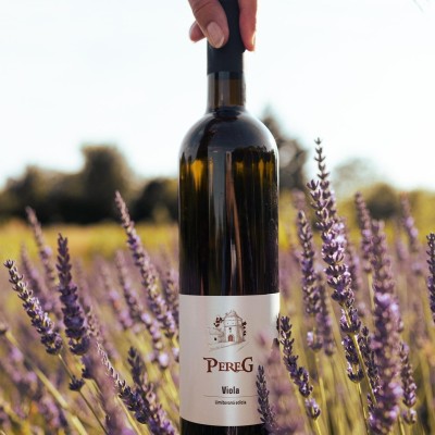 Pereg Viola 0,75 l

Viola je miešaný alkoholický nápoj, ktorý vznikol snúbením hroznového vína s levanduľovými kvetmi. Starostlivo vybrané vína odrôd Pálava, Tramín červený a Devín, boli kupážované tak, aby v súhre s levanduľou vytvorili opojný nápoj plný kvetovej vône so sladkým záverom. 
.
.
.
#vinotekaandre #pereg #viola